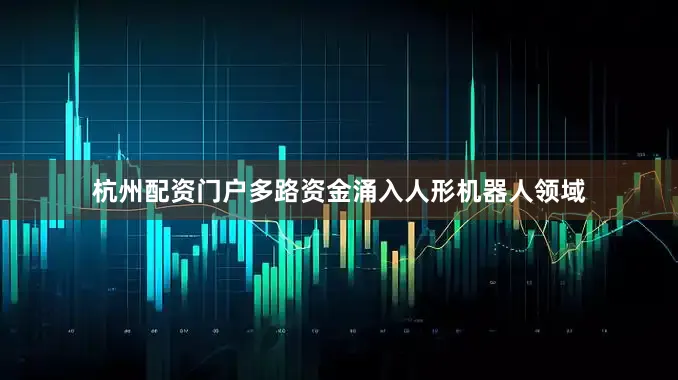 杭州配资门户多路资金涌入人形机器人领域