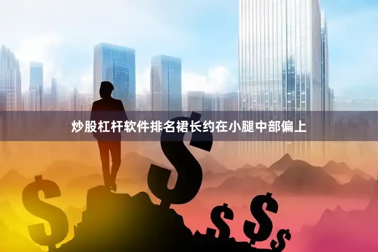 炒股杠杆软件排名裙长约在小腿中部偏上