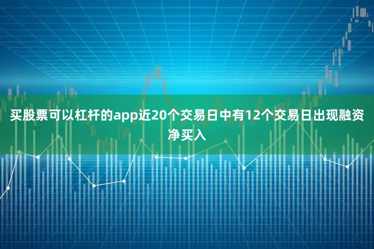 买股票可以杠杆的app近20个交易日中有12个交易日出现融资净买入